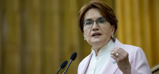 Muhalefetin özel uçak keyfi yerinde! Akşener ve Kılıçdaroğlu’nun riyakarlığı gün gibi ortada