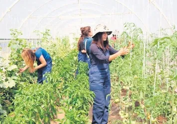 Kırsal bölgelerde işsiz genç kalmayacak