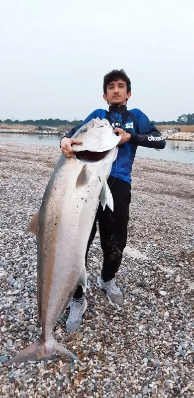 Lise öğrencisi kıyıdan oltayla onlarca kiloluk balık tuttu! Nesli azalan keler balığı ağa takıldı