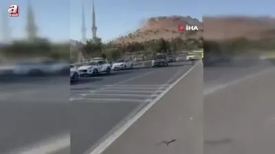 Mardin’de trafik kazası