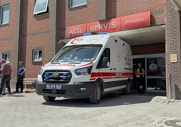 Kene ısıran 1,5 yaşındaki Metehan öldü
