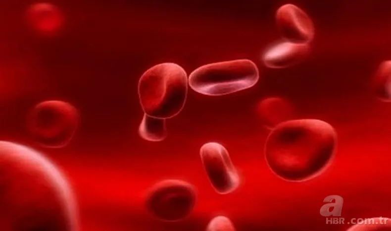 Hangi kan grubu nasıl beslenmeli? İşte kan grubunuza göre tüketmeniz gereken besinler... 17