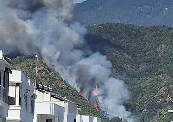 Marmaris'teki orman yangınında dehşete düşüren gelişme: Ateşe verilen ceset nedeniyle çıktı