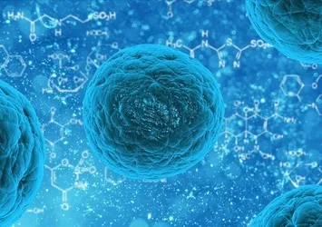 Koronavirüsten sonra şimdi de noravirüs! Noravirüs nedir? Belirtileri nelerdir? Nasıl bulaşır?