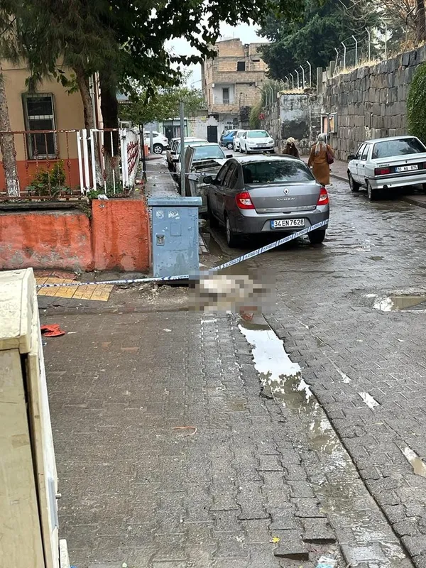 sanliurfada-kan-donduran-goruntu-kopek-elektrik-akimina-kapilarak-telef-oldu-1637502974009.jpg Şanlıurfa’da kan donduran görüntü! Köpek elektrik akımına kapılarak telef oldu - 4