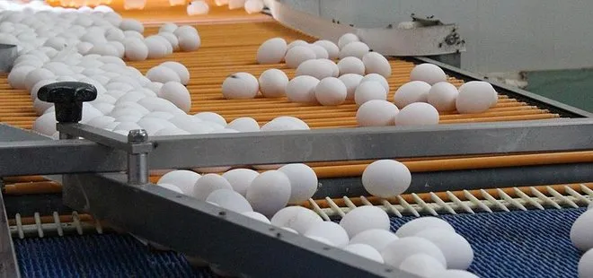 Yumurta krizi İtalya’ya da sıçradı