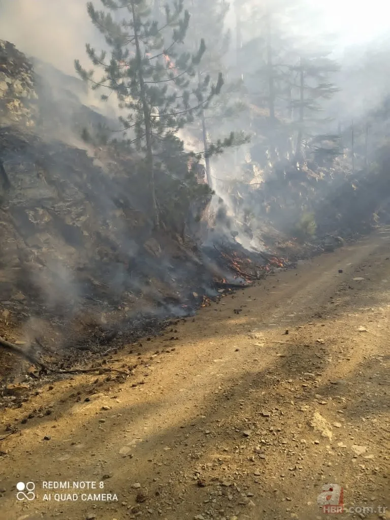 Adana’da çıkan orman yangını kontrol altına alındı 3