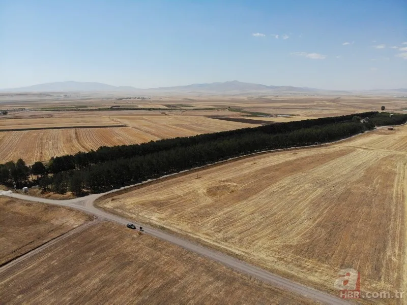 Bozkırın ortasında yemyeşil doğa! Hayran bırakan görüntüler 15
