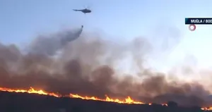 Bodrum’da yeni yangın