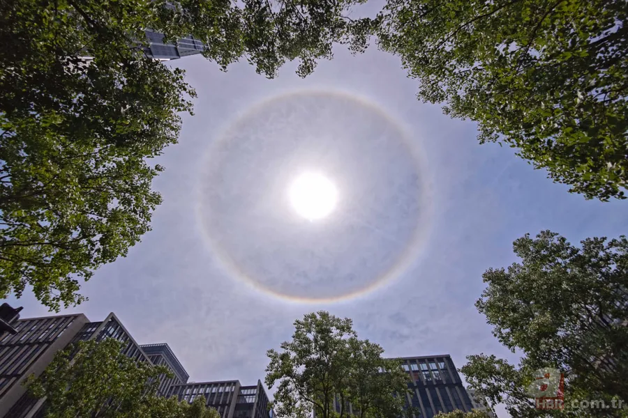 Yıllardır yanlış biliyorduk! D vitamini eksikliğinin tek işareti: Kemik değil… 3