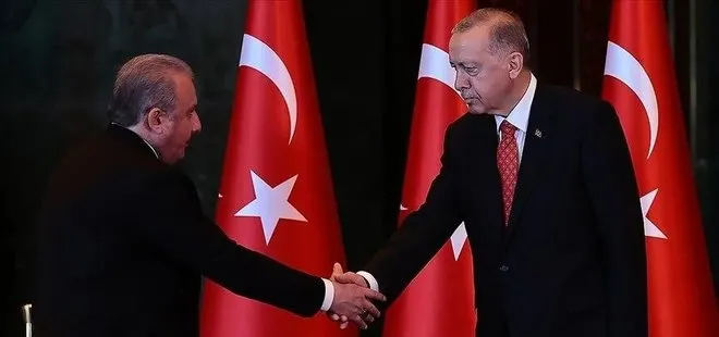Başkan Erdoğan TBMM Başkanı Mustafa Şentop ile görüştü