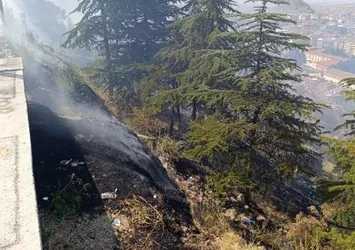 Afyonkarahisar'da ormanlık alanda yangın!