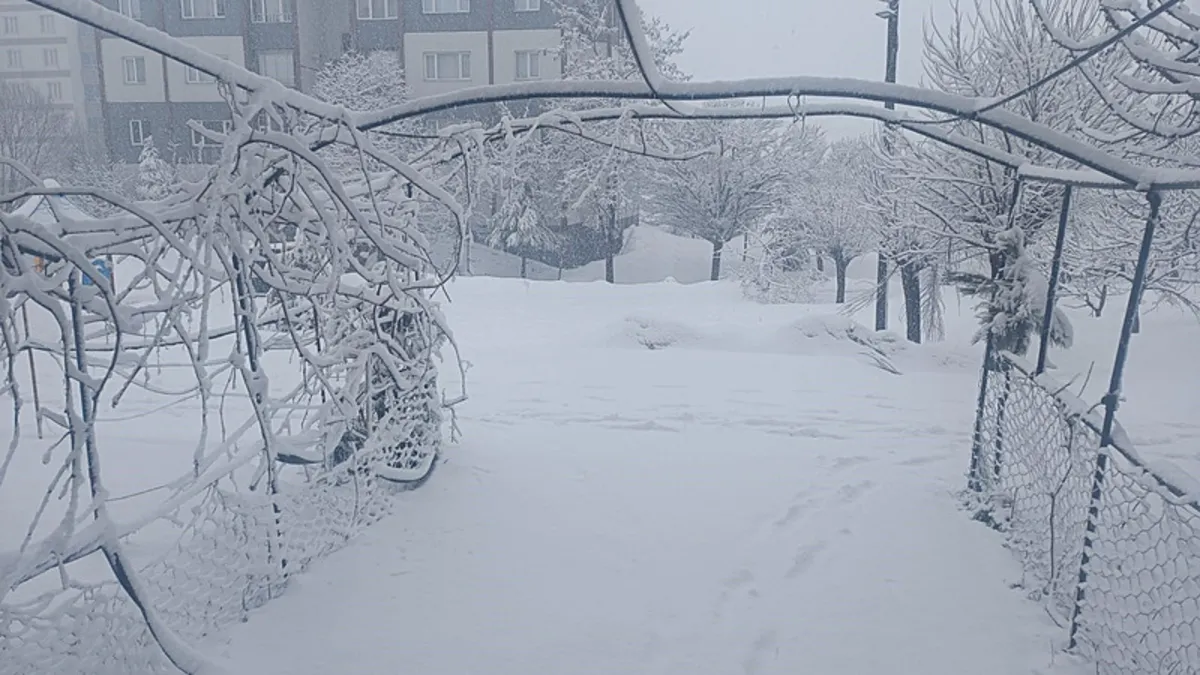 Bitlis'te 84 yerleşim yeri ulaşıma kapandı