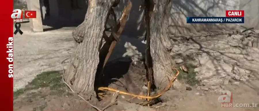 Görenler hayrete düştü! DEPREMİN merkez üssü Kahramanmaraş Pazarcık'ta ÇARPICI manzara... A Haber muhabiri: Meslek hayatımda ilk kez... 7