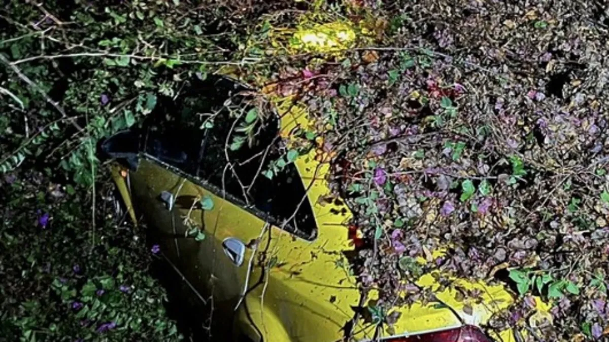 Mersin'de korkunç olay! Ağaç taksinin üzerine devrildi