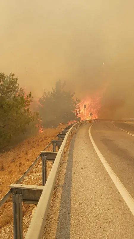 Son dakika: Antalya Manavgat'ta orman yangını! Karayolu ulaşıma kapatıldı - 6