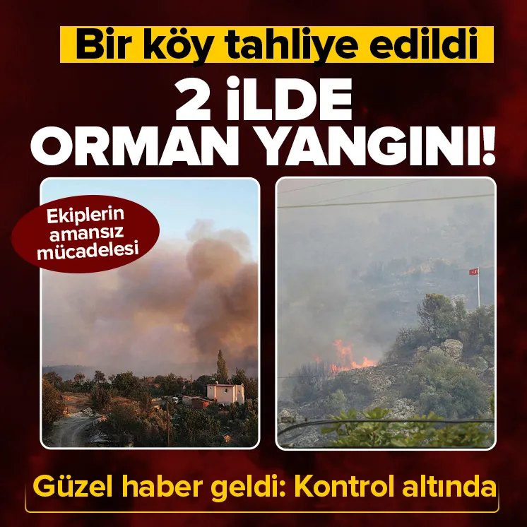 Aydın ve Muğla’da orman yangını!