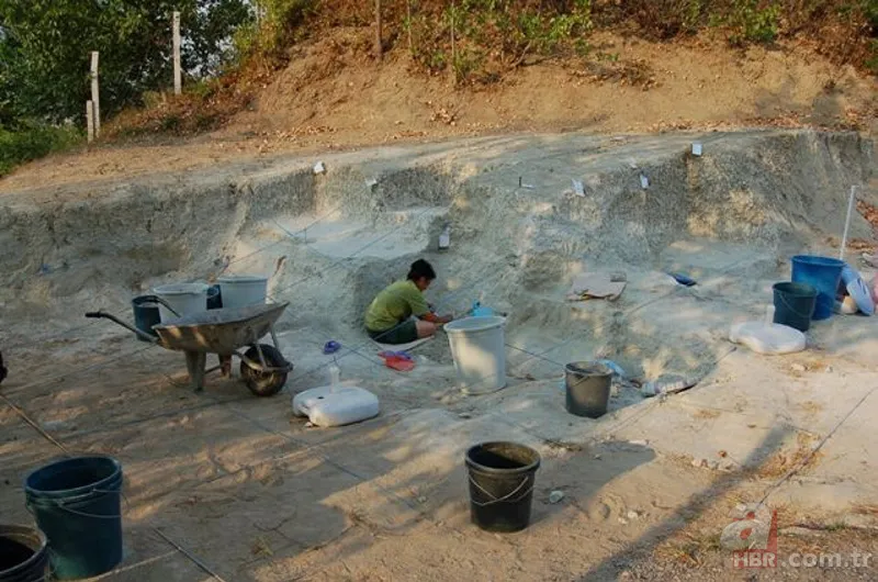 Çoban toprak kayınca keşfetti! Milattan önce 10 bin yılından kalma tatlı bulundu 1