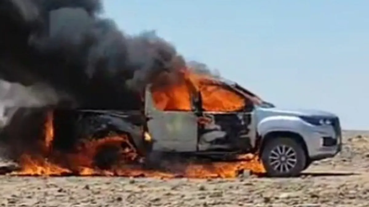 Şanlıurfa'da bir kamyonet alevlere teslim oldu