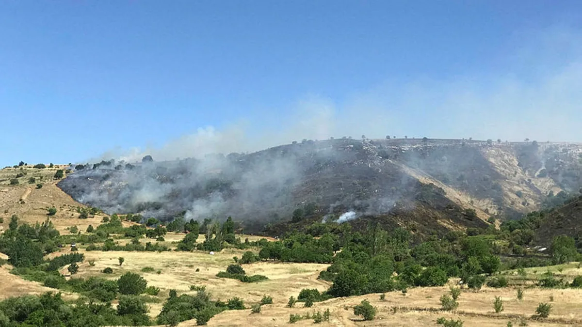 Diyarbakır'da 5 saatte söndürülen örtü yangınında 150 hektar alan zarar gördü
