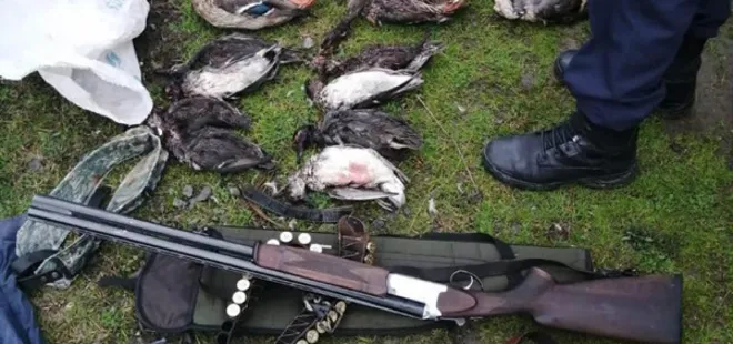 Kuş cennetinde dehşete düşüren görüntü! Bu halde bulundular