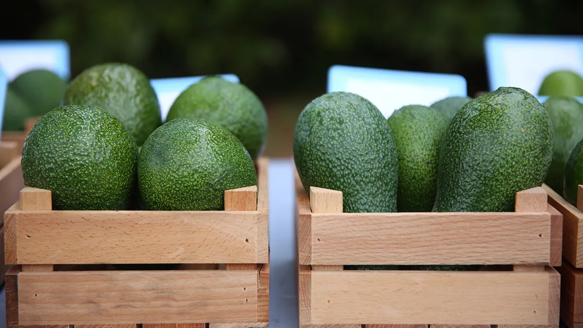 Avokadoyu israf ettirmeyen yöntem! Çürümesini önlüyor...