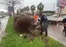 İzmir’de fırtına ağaçları devirdi