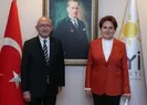 Erken seçim çağrısının perde arkası ne?