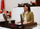 HDP’li Pekgözü’nden Meclis’te skandal tehdit