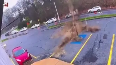 Dev ağaç aracın üzerine düştü