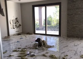 CHP'li Hayri Türkyılmaz milli serveti çürümeye terk etti! Açılıştan sonra bir daha kimse uğramadı