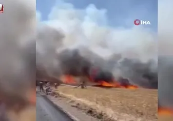 Çanakkale’de tarım arazisinde yangın çıktı