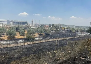 Çift sürülen tarla yangında zarar görmedi
