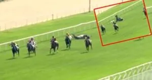 Jokey Ömer Kaya yoğun bakımda