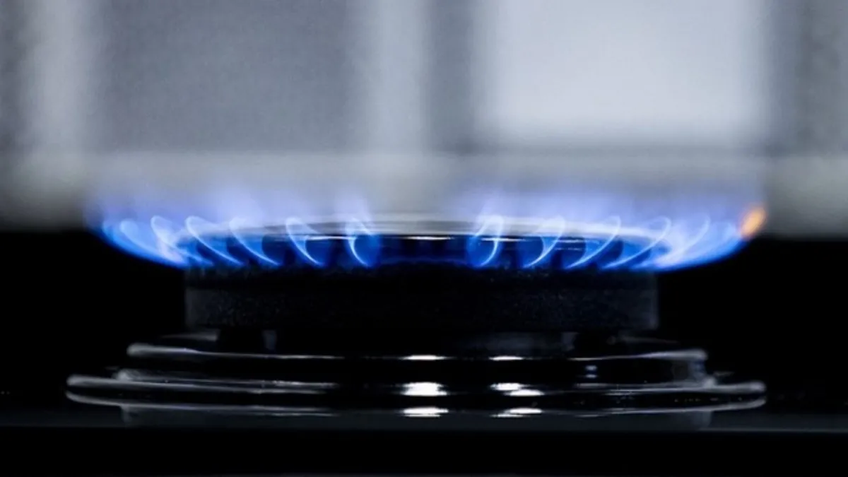 BOTAŞ duyurdu! Doğal gazda eylül tarifesinde değişiklik yok