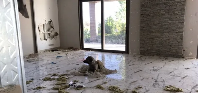 CHP’li Hayri Türkyılmaz milli serveti çürümeye terk etti! Açılıştan sonra bir daha kimse uğramadı