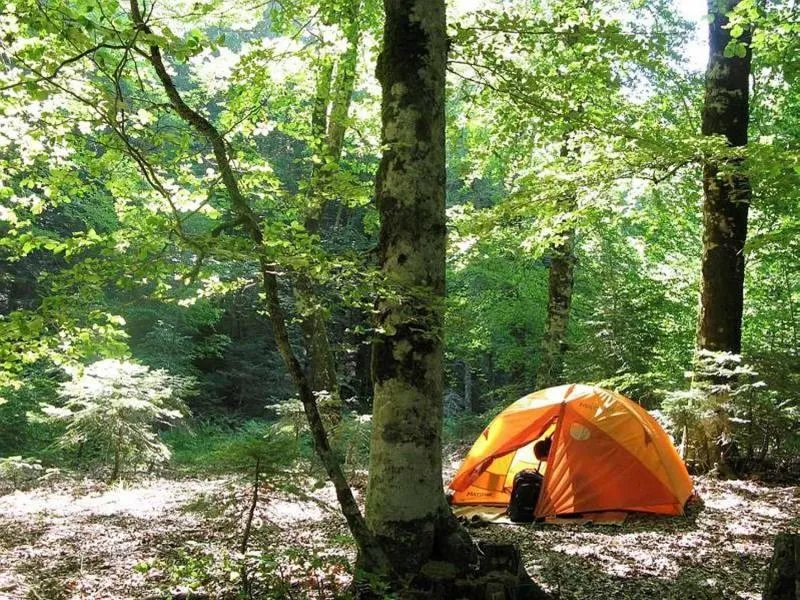 Çanakkale'nin masalsı köyü Adatepe dünya turizm sahnesine çıkmaya hazırlanıyor - 1