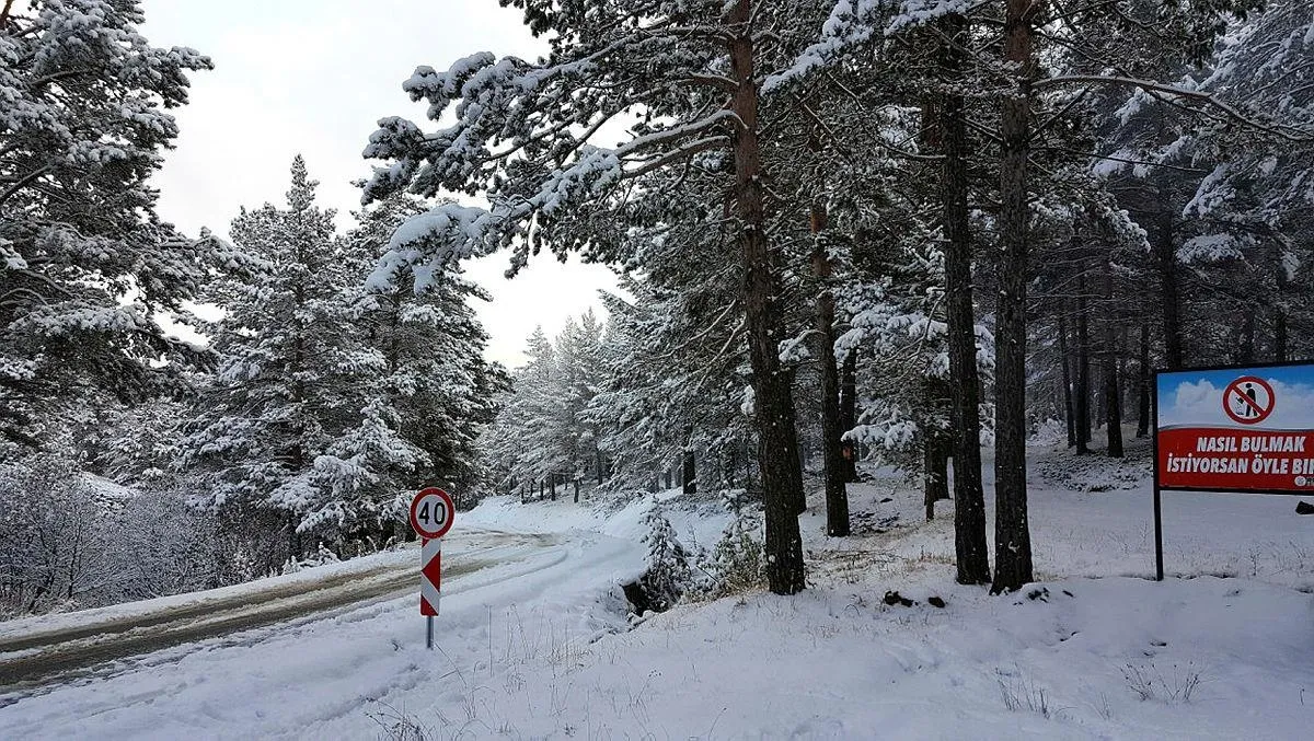 Meteoroloji'den son dakika hava durumu açıklaması! Donacağız! Kar uyarısı geldi | 25 Kasım 2020 hava durumu