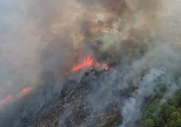 Muğla'da orman yangını! Alevler kontrol altında