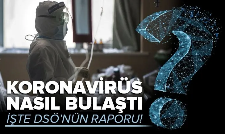 Koronavirüs insanlara nasıl bulaştı? DSÖ raporu her şeyi ortaya çıkardı
