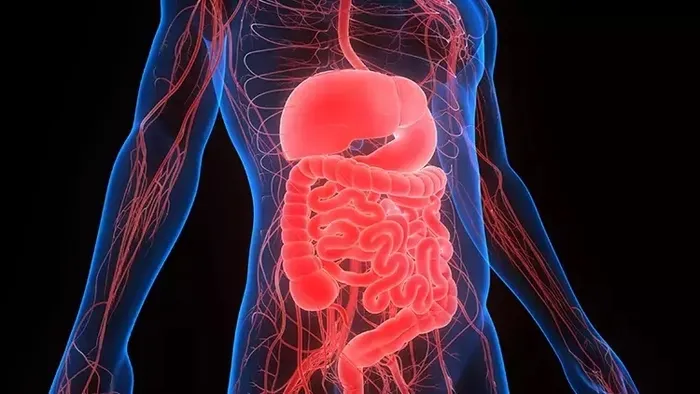 Mide rahatsızlıklarının sebebi ortaya çıktı! Reflüyü tetikliyor...