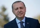 Başkan Erdoğan yılın ilk atamalarını gerçekleştirecek! Engelliler, şehit yakını, gaziler ve devlet korumasından yararlanan gençlere istihdam