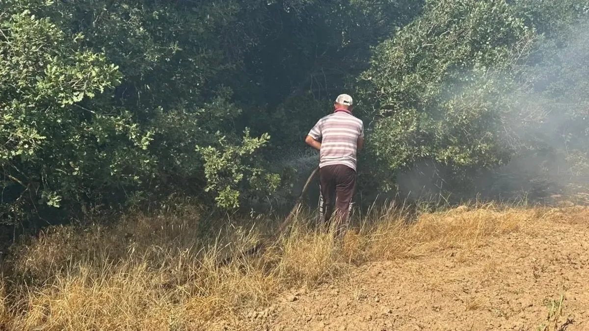 Kırklareli'nde otluk alanda başlayıp anıza sıçrayan yangın 50 dekar alana zarar verdi