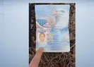 ABD’li gazeteci Ukrayna’da öldürüldü