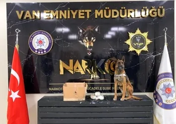 Van’da uyuşturucu operasyonu