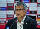 Şenol Güneş: Asıl rakibimiz İzlanda