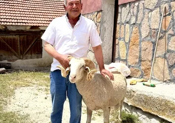 Eskişehir’de akılalmaz olay! Sattığı koç 5 gün sonra geri döndü