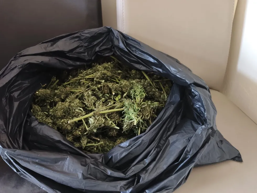 Bursa'da uyuşturucu operasyonu: Yönetmen Ezel Akay ve kardeşi hakkında karar - 3