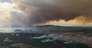 Gelibolu’daki yangın kontrol altında