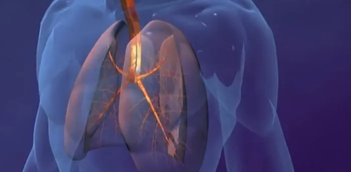 DSÖ çalışmalara başladı! Kovid-19’un kökenlerini Vuhan’da araştıracak